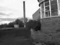 Disorder; Banbridge Shoe Factory