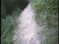 Garway downhill mountain bike race uk mtb freeride club team