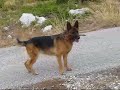 Roxane