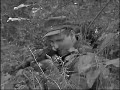 Near Carentan