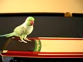 aj bowling