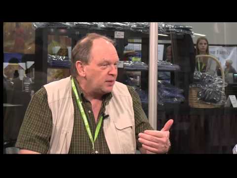 how to research family tree