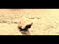 Loch Ness Foundation - Teaser Loch Ness Foundation - Teaser