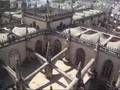Un Pececillo en Andalucia