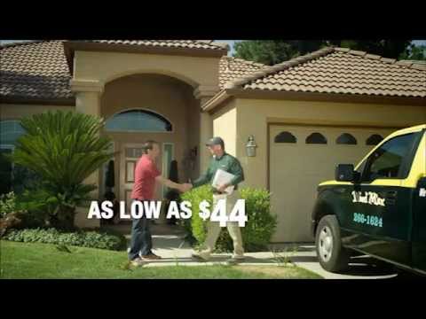 how to eliminate quackgrass from lawn