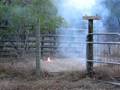 videos de Firecracker Bomb