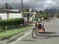 Beach Walk #555 - Lexi's Limo Buys Carbon Offsets