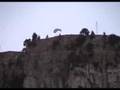 Speedflying Stallflue