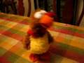 videos de Crazy Dancing Thanksgiving Day Turkey