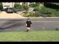 A Short Documentary on Coke and Mentos Rockets