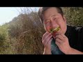 Madtv - Bobby Lee vs Wild Madtv - Bobby Lee vs Wild