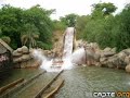 maravilla de bolka