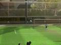 Faltas FIFA09