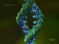 proekt po biologiq smolian 11b pmg 2008