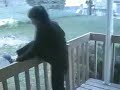 Guy scares his aunt