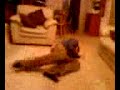 Me andy josh and jamie drunk at jamies house on friday Me andy josh and jamie drunk at jamies house on friday