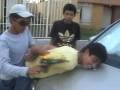 Proyecto Civica Y Etica Errores (2)1 NEW