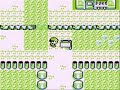 Pokemon Glitches Episode 5