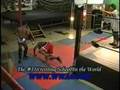 WWA4 moves Kick and punch