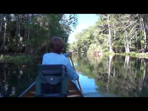 Florida - Sliver River Florida Canoeing.