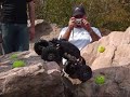 KotH Crawler Video