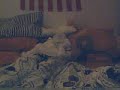 zkay video