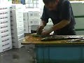 Eel Filleting Technique  at Tsukiji Fish Market