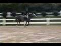 videos de Stonewall Sparkler