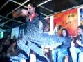 flamenco   spanish traditional dance