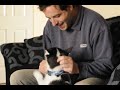 Click here to watch this video Husky puppy learning to say 