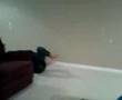 videos de yoga ball # 13