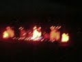 a-red-hot-high-tension-violin.html