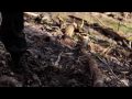 La Strada Wash On By Official Music Video and Lyrics