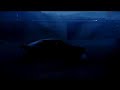 Calibra 4x4 Turbo 300PS Burnout Calibra 4x4 Turbo 300PS Burnout