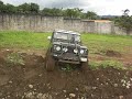Landy verde