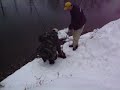 Snow carp