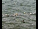 Colaba Beach Mumbai This video is captured by me. Enjoy Kamal Kant Chourey