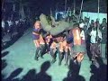 Maluku Tenggara : Ohoirenan - Snake dance