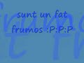 nicolae-guta-sun-un-
