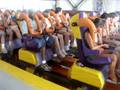 Dominator Floors