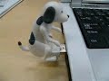 usb prikols usb prikols