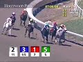 2008 Vanity Handicap