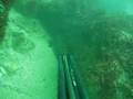 dorade23072008