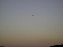 super decathlon - Dresch