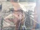 painting Paraty -