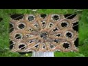 a prelude by anthony holborne played by tommy johansson on a pandora/bandora made by karl-erik gummesson,sweden.