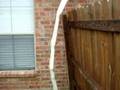 The Morning After Hurricane Gustav