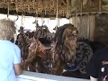 Carousel and Monster Wurlitzer Organ