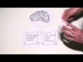 Multitasking.wmv