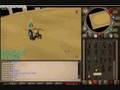 146+ hit with an ags (zamorak now)